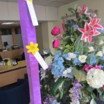 Lodge Brothers Ashford Raise Funds for Marie Curie Cancer Care for Mothers Day Lodge Brothers Ashford Raise Funds for Marie Curie Cancer Care for Mothers Day
