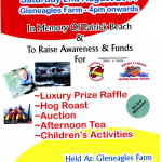Charity Fun Day In Memory of Patrick Beach Charity Fun Day In Memory of Patrick Beach