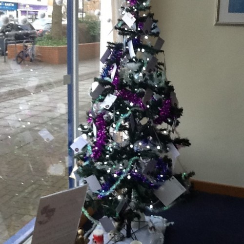 Remembrance Christmas Tree at Lodge Brothers Molesey