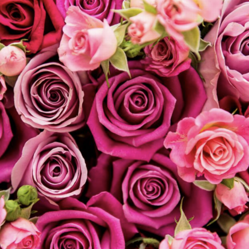 A Poem for Mothers Day at Yiewsley Branch A Poem for Mothers Day at Yiewsley Branch
