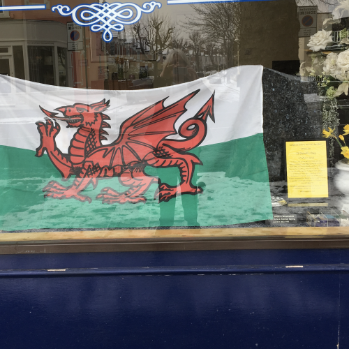 Ealing Branch Fly the Flag for St David’s Day