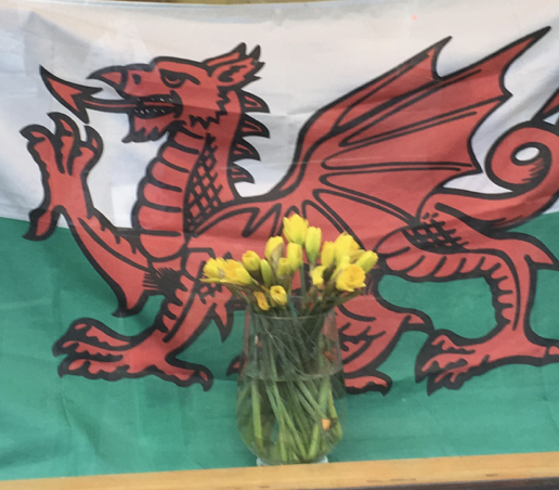 Hapus Dydd Gwyl Dewi! Happy St David’s Day! Hapus Dydd Gwyl Dewi! Happy St David’s Day!