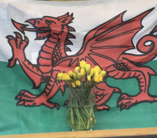 Hapus Dydd Gwyl Dewi! Happy St David’s Day!