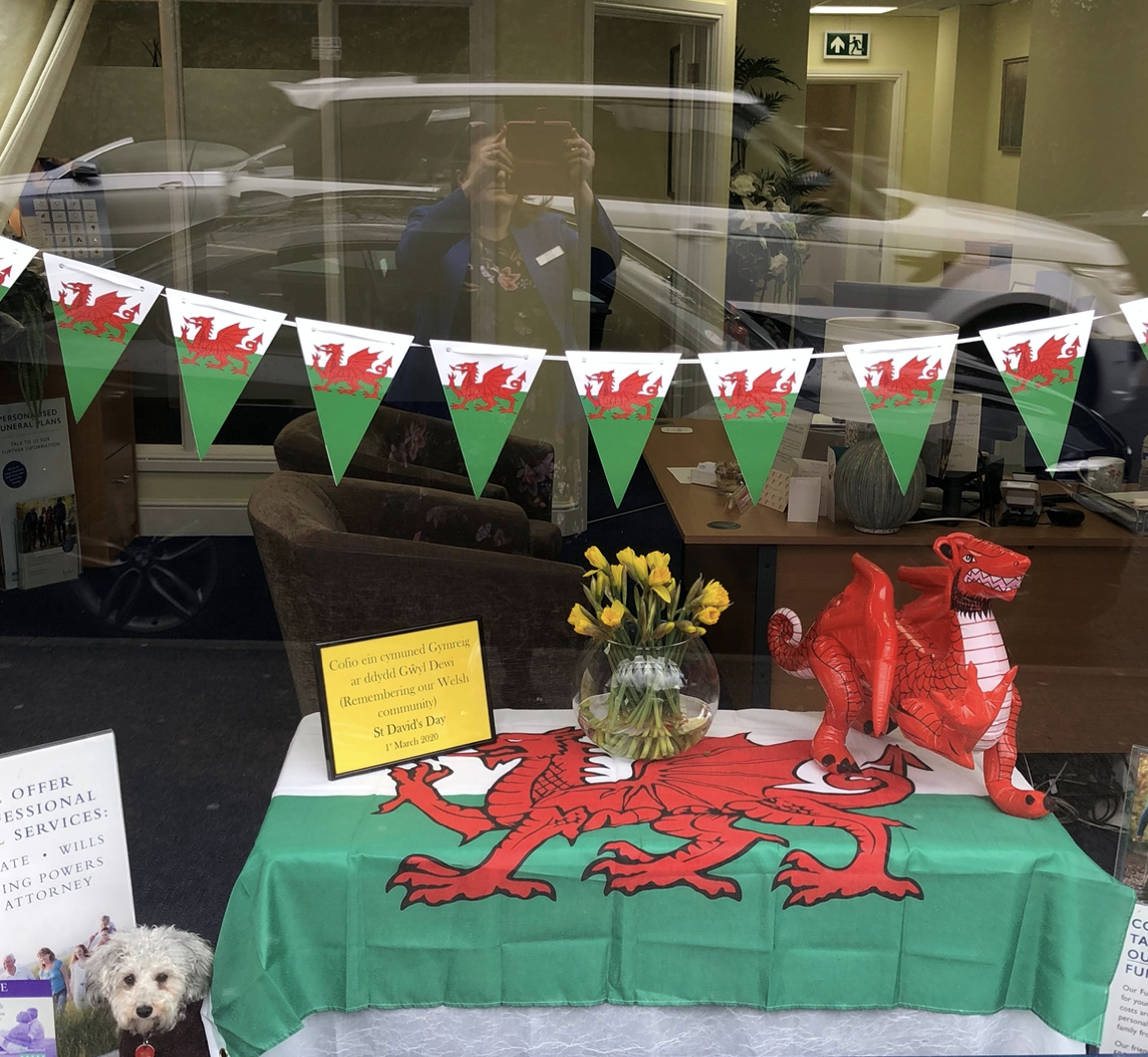 Happy St David’s Day from Dotty the Therapy Dog!