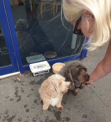 Dog Treats at Lodge Brothers New Malden Branch