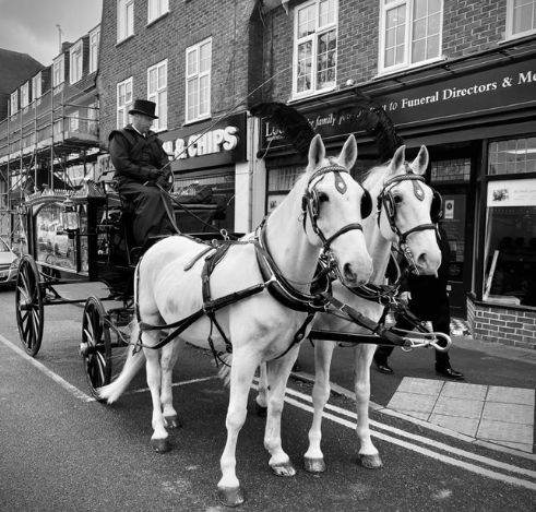 Horse Drawn Hearse from Burpham Branch